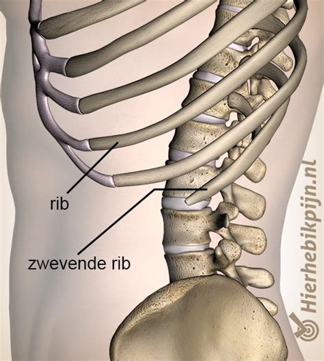 pijn zwevende rib.